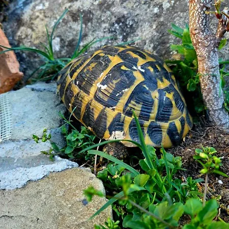 L'arenaria 3* 피에트라페르토사