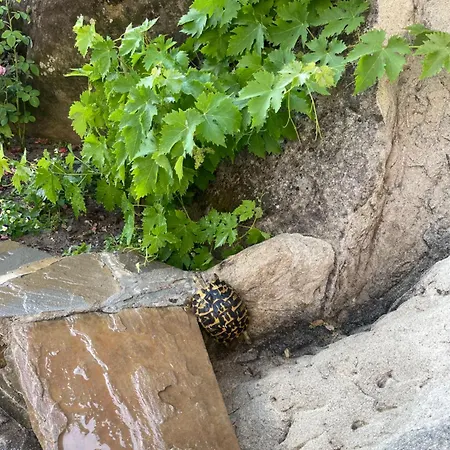 L'arenaria B&B 피에트라페르토사