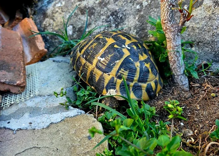 L'arenaria 3* Pietrapertosa