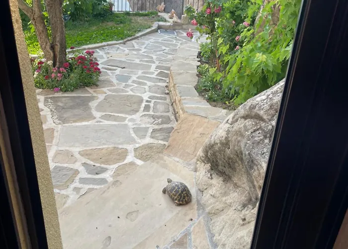 L'arenaria 3* Pietrapertosa